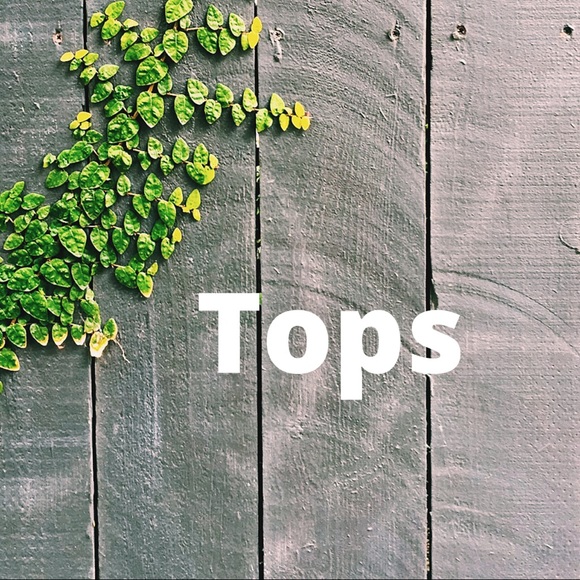 Tops - Picture 1 of 1